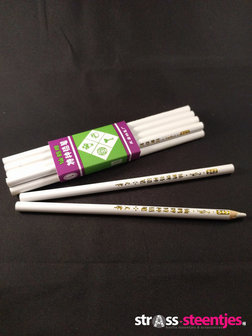Hotfix picker pennen (10 stuks)