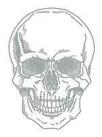 Skull (152.2 x 213.4 x 1.5mm) - Preciosa Transfer - Chaton Rose MAXIMA HF (ss3) Jet, Jet Hematite (per 3 stuks)
